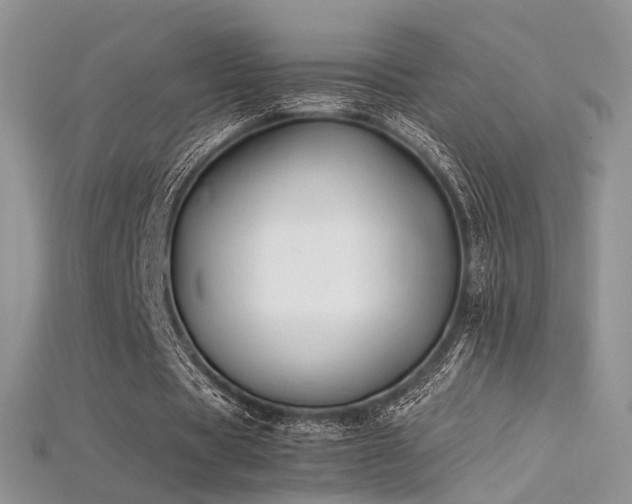 X0000115660529200911121215