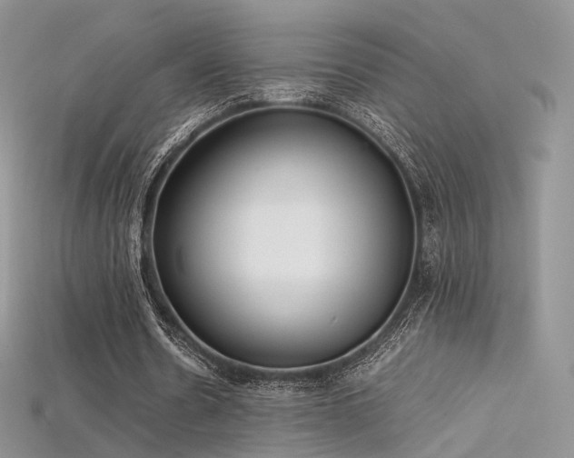 X0000115660530200911121215