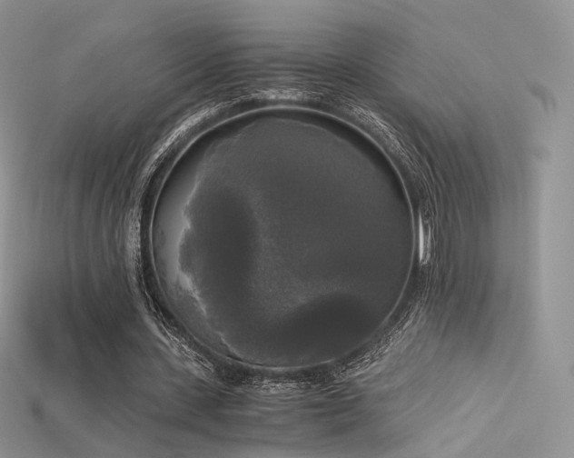 X0000115660531200911121215