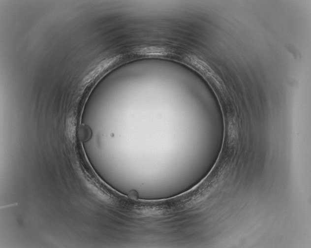 X0000115660533200911121215