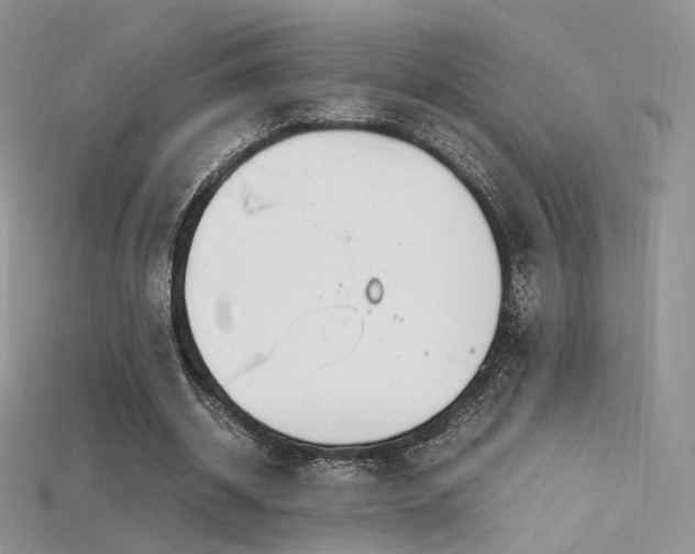 X0000115660534200911121215