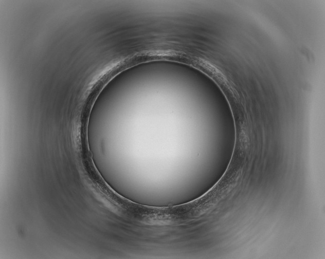 X0000115660535200911121215