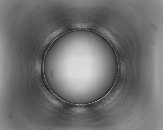 X0000115660537200911121216