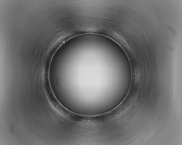X0000115660538200911121216