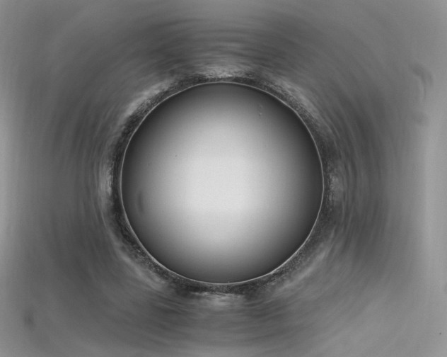 X0000115660539200911121216