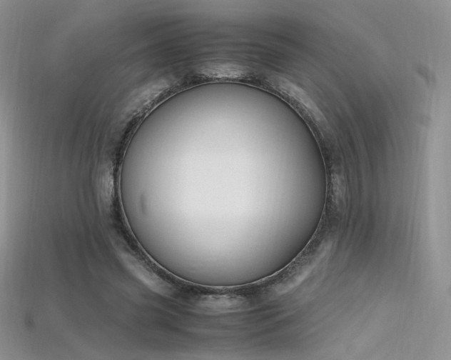 X0000115660541200911121216