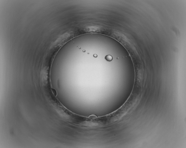 X0000115660545200911121216