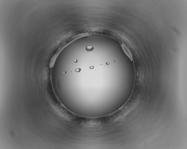X0000115660546200911121216