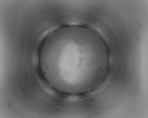 X0000115660547200911121216
