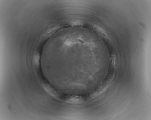 X0000115660550200911121216