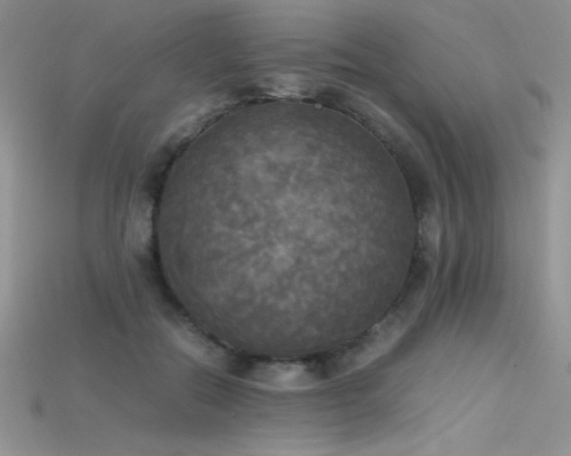 X0000115660554200911121216
