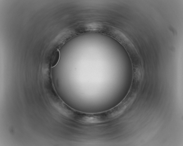 X0000115660557200911121216