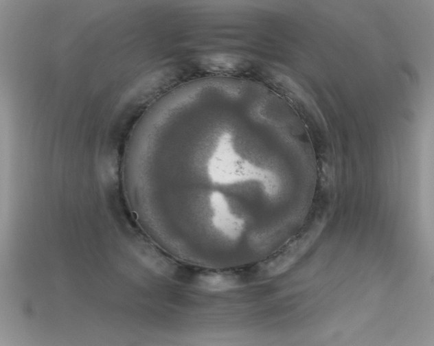 X0000115660561200911121216
