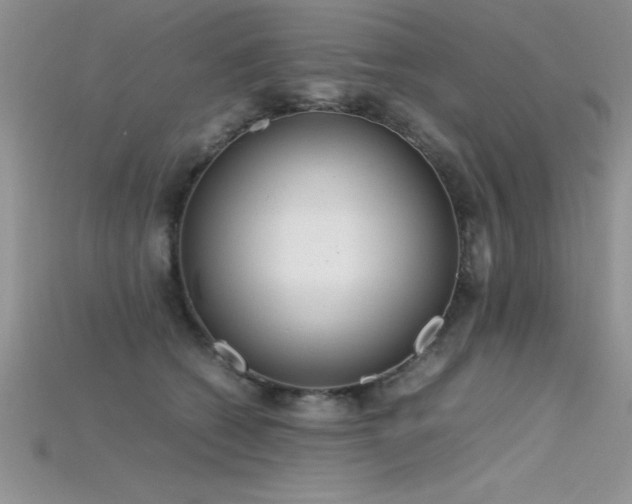 X0000115660562200911121216