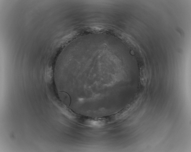 X0000115660563200911121216