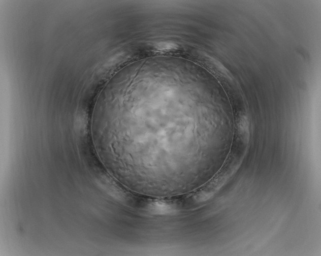 X0000115660565200911121216