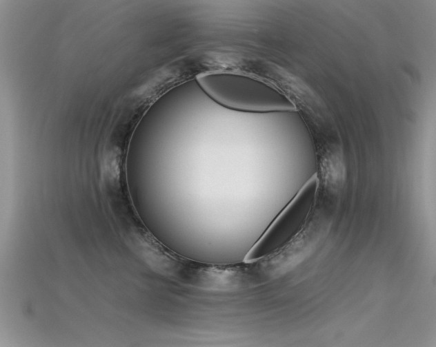 X0000115660570200911121216