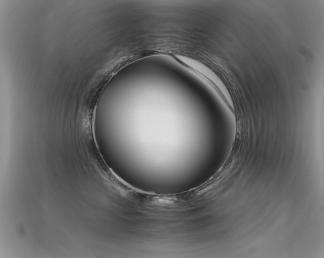 X0000115660573200911121216