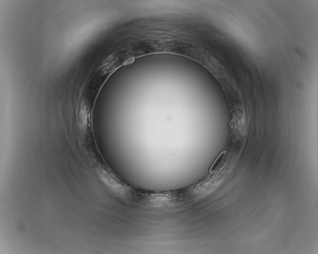 X0000115660574200911121216
