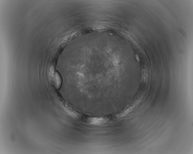 X0000115660575200911121216