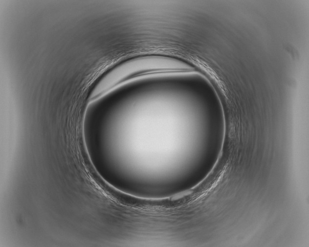 X0000115660577200911121215