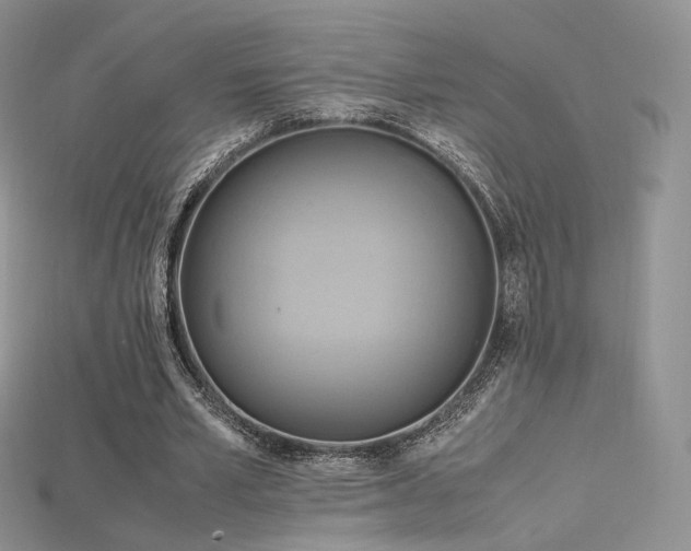 X0000115660581200911121215