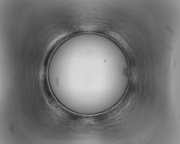 X0000115660583200911121215