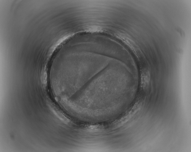 X0000115660584200911121215