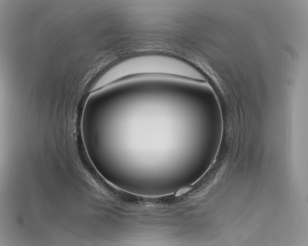 X0000115660585200911121215