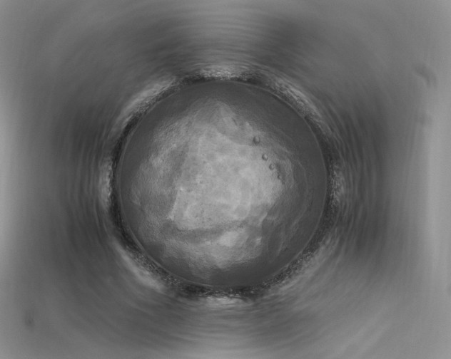 X0000115660586200911121215