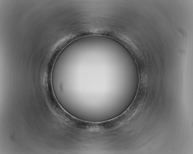 X0000115660587200911121215