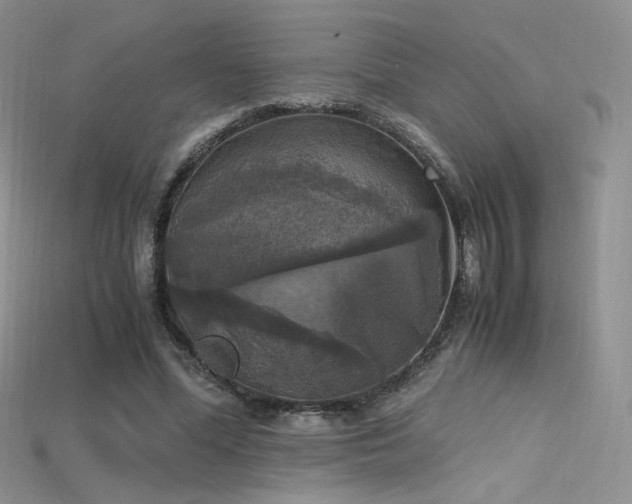 X0000115660588200911121215