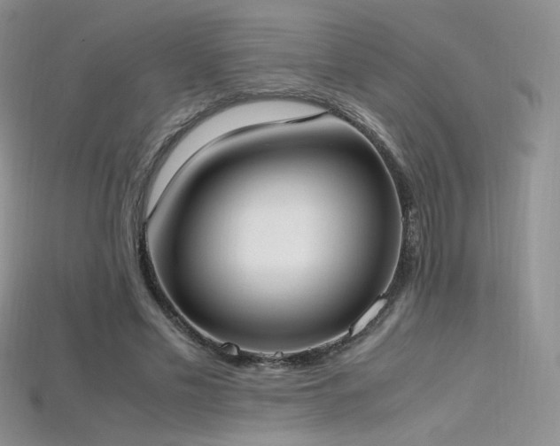 X0000115660589200911121215