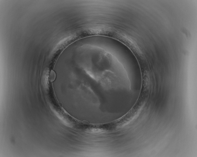 X0000115660590200911121215