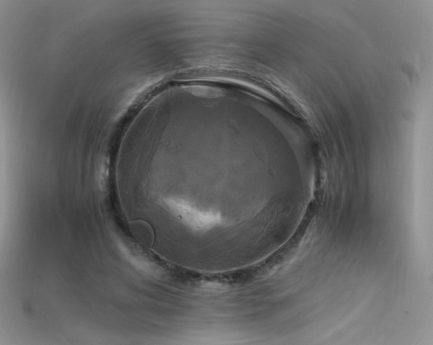 X0000115660592200911121215