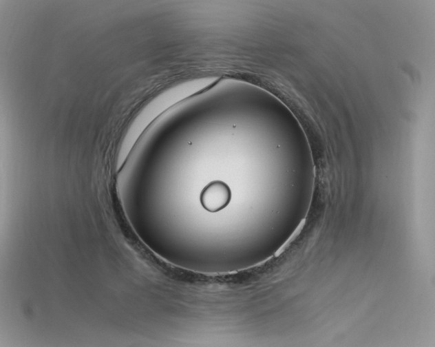 X0000115660593200911121215