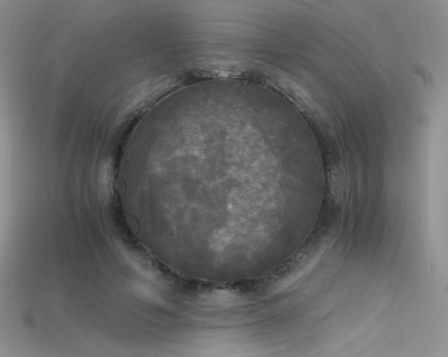 X0000115660594200911121215