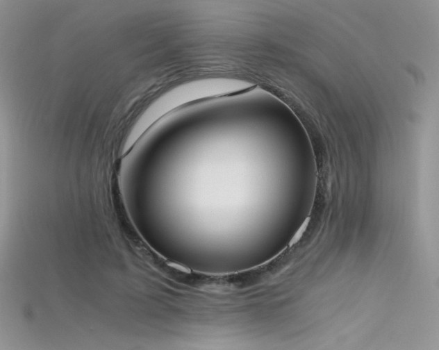 X0000115660595200911121215