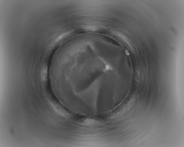 X0000115660596200911121215