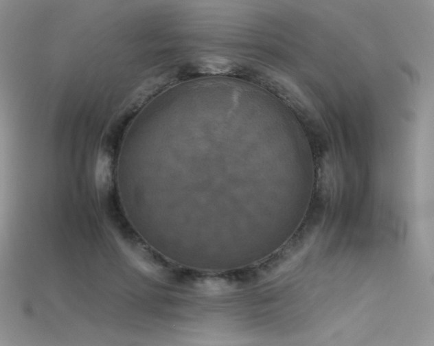 X0000115660598200911121215