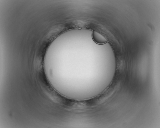 X0000115660599200911121215