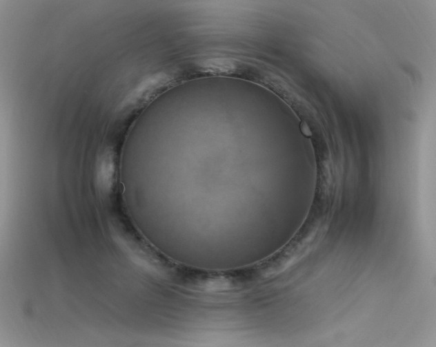 X0000115660600200911121215