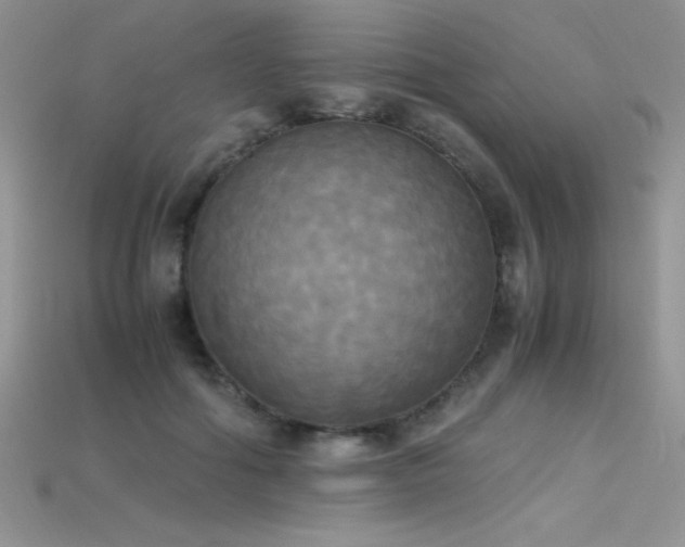 X0000115660602200911121215