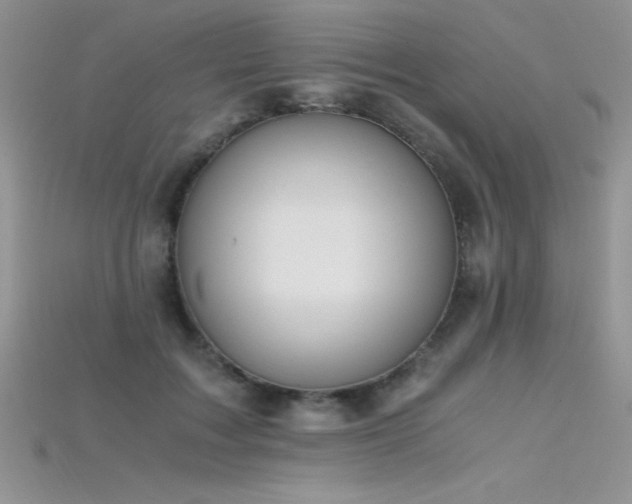X0000115660603200911121215