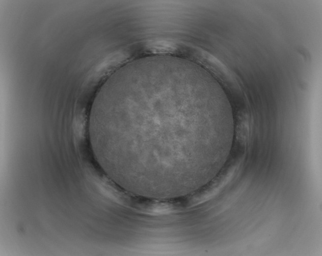 X0000115660604200911121215