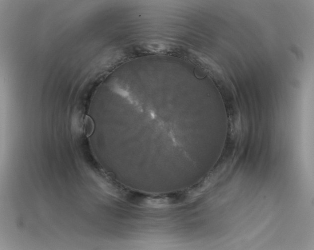 X0000115660606200911121215