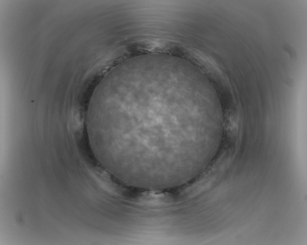 X0000115660607200911121215