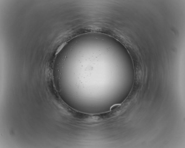 X0000115660609200911121215
