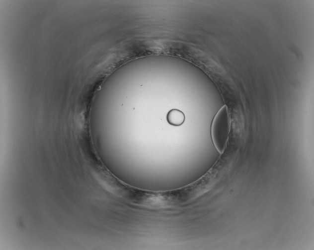 X0000115660611200911121215