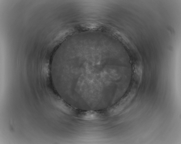 X0000115660612200911121215